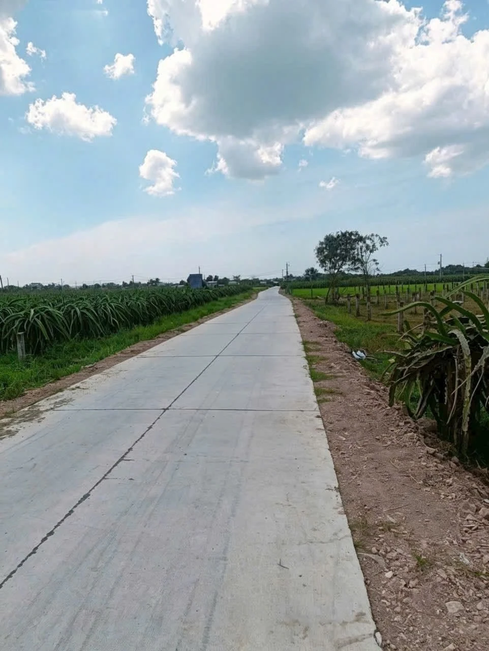 Bán đất 540m² (100m thổ cư) Bình Thuận - 490 triệu - Ảnh 1