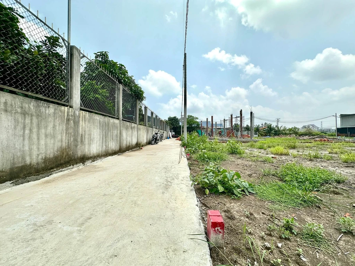 Bán đất nền sổ riêng 105m2 Mỹ Lộc, Tây Ninh (Phước Lâm, Cần Giuộc cũ) giá 780 triệu - Ảnh thu nhỏ 2