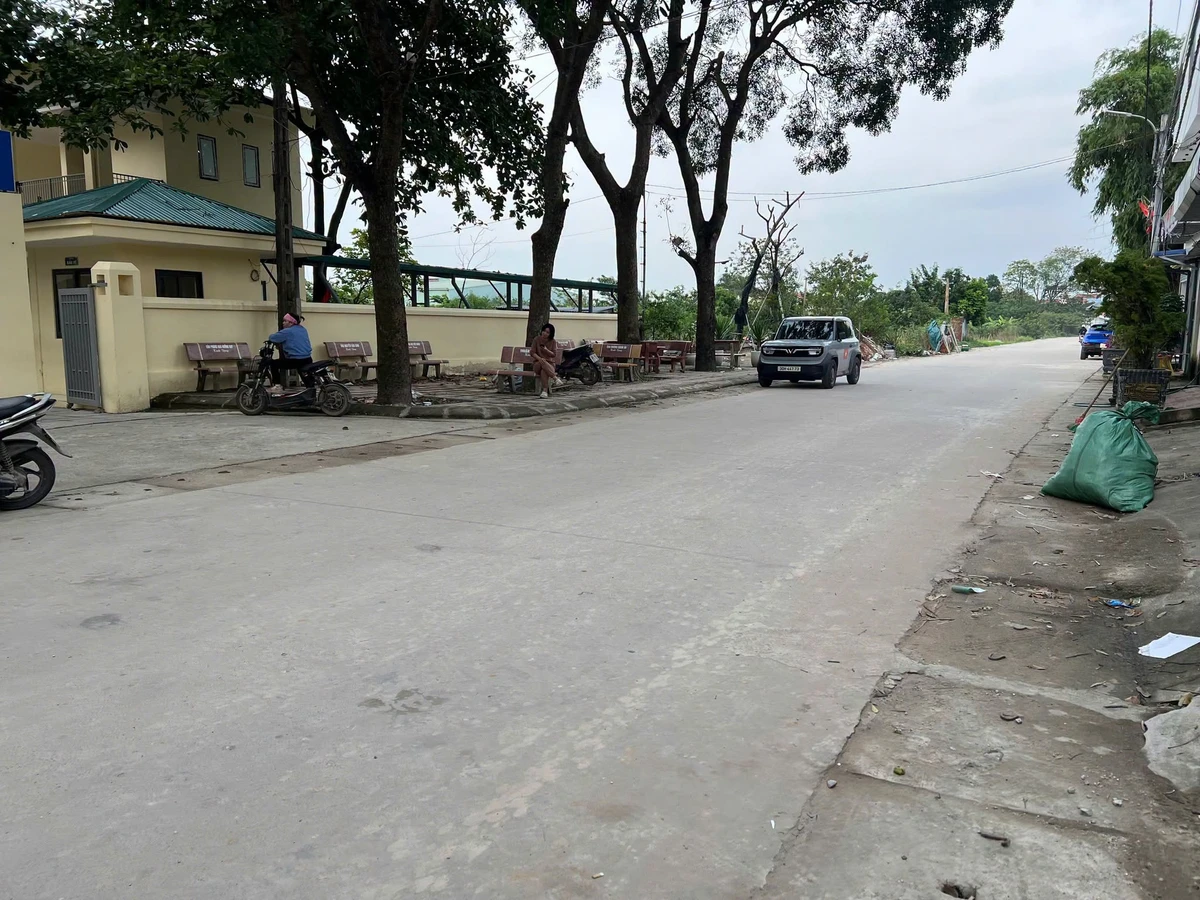 Bán đất góc kinh doanh 52m² Quang Minh, Hóc Môn 2 tỷ - Ảnh thu nhỏ 5
