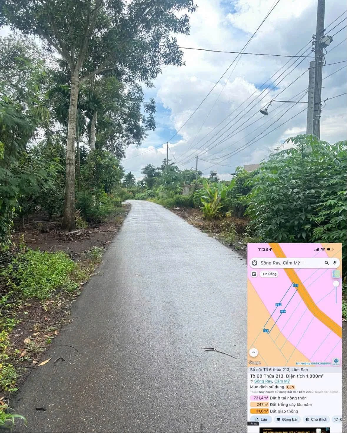 Bán đất 1000 m² Cẩm Mỹ Đồng Nai giá 6 tỷ sổ hồng - Ảnh 1