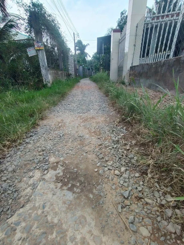 Bán đất 1000m² Tân Thành, Bến Tre, 1 tỷ