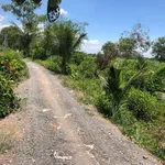 Bán gấp nhà vườn view kênh 1000m2 giá 1,1 tỷ tại ấp 2, Bình Đức, Bến Lức, Long An - Ảnh thu nhỏ 3