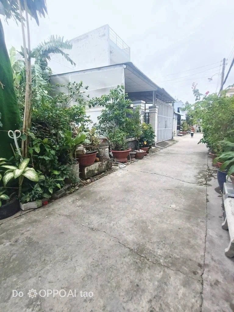 Bán đất thổ cư 4x24 (96m2) hẻm Cử Luyện, phường 5, Tân An, giá 800 triệu - Ảnh thu nhỏ 4