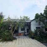 Bán nhà vườn 3PN Long An 500m² giá 1 tỷ 550 triệu - Ảnh thu nhỏ 1