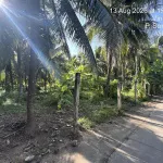 Bán đất chính chủ diện tích 5.546m2 giá 7.5 tỷ mặt tiền ngang 100m tại Châu Thành, Bến Tre cũ - Ảnh thu nhỏ 12