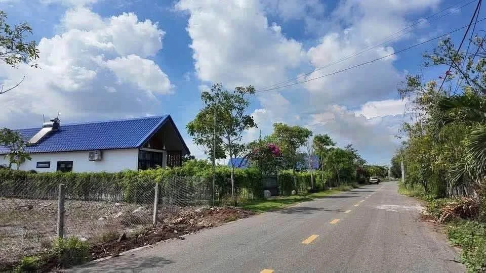 Bán nhà cấp 4 với vườn cây ăn trái 2400m2 - Ảnh thu nhỏ 3