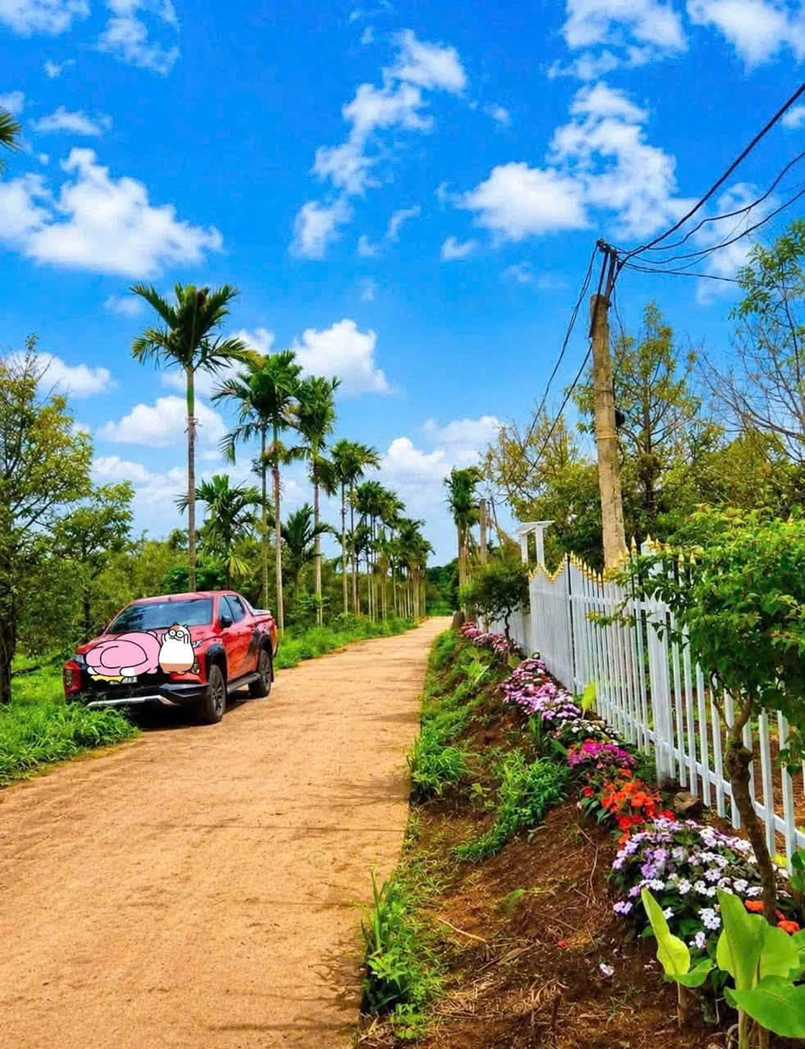 Bán đất Hóc Môn 155m2, gần hồ Việt Đức, 225 triệu - Ảnh thu nhỏ 4