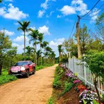 Bán đất Hóc Môn 155m2, gần hồ Việt Đức, 225 triệu - Ảnh thu nhỏ 4
