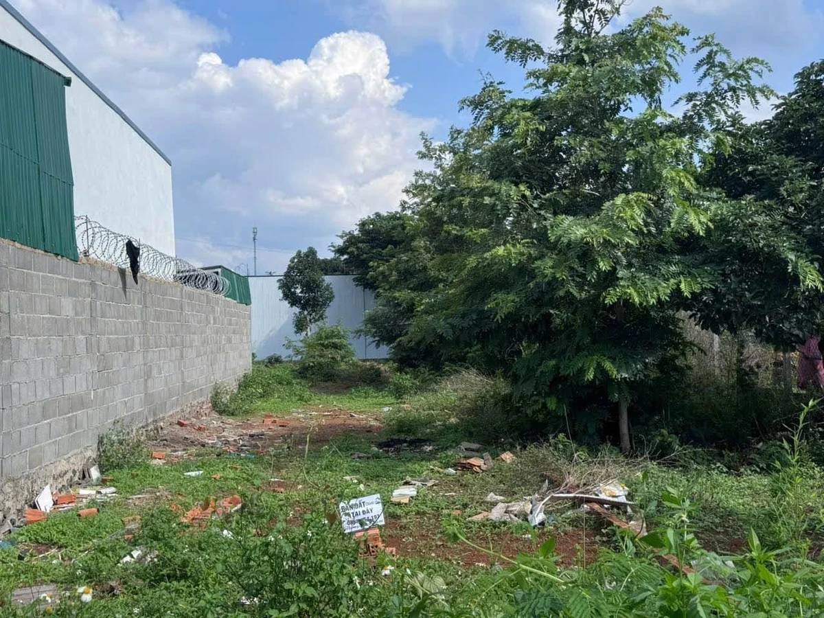 Bán đất Kotam Phường Tân An 120m² giá 1.3 tỷ - Ảnh thu nhỏ 3