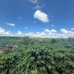 Bán nhanh vườn cà phê 2 hecta, sản lượng 8-9 tấn, Gia Lai - Ảnh thu nhỏ 5