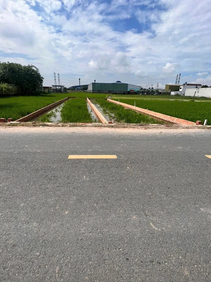Bán gấp lô đất mặt tiền đường nhựa 5x28m giá 1,55 tỷ tại Mỹ Hạnh, Đức Hòa, Long An - Ảnh thu nhỏ 2
