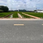 Bán gấp lô đất mặt tiền đường nhựa 5x28m giá 1,55 tỷ tại Mỹ Hạnh, Đức Hòa, Long An - Ảnh thu nhỏ 2