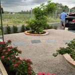 Bán nhà vườn 2 PN tại Bình Lục, Tây Ninh, 450m2, 2 tỷ 290 triệu - Ảnh thu nhỏ 4