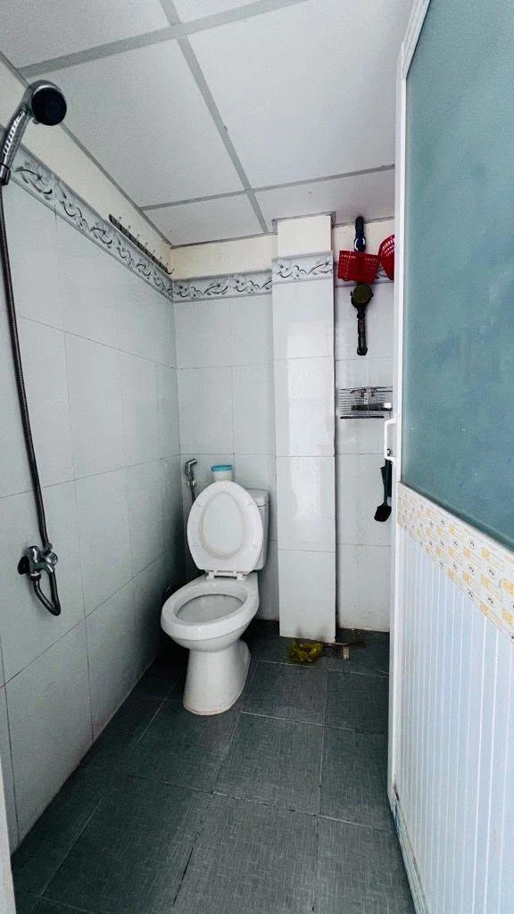 Bán shophouse dịch vụ 101m² 12PN, mặt tiền Huỳnh Tấn Phát - Ảnh thu nhỏ 5