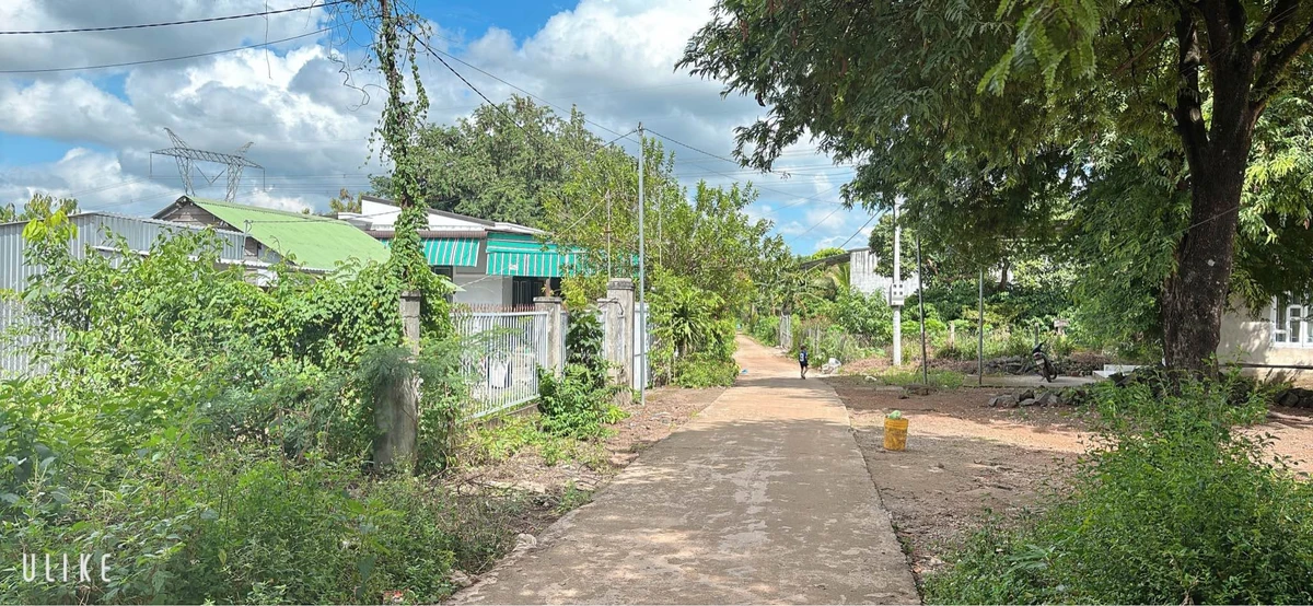 Bán đất Làng Thái Hòa Phú 250m² giá 530 triệu - Ảnh 1