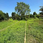 Bán đất thổ cư 103.6m² view sông tại Cần Giờ - Ảnh thu nhỏ 3