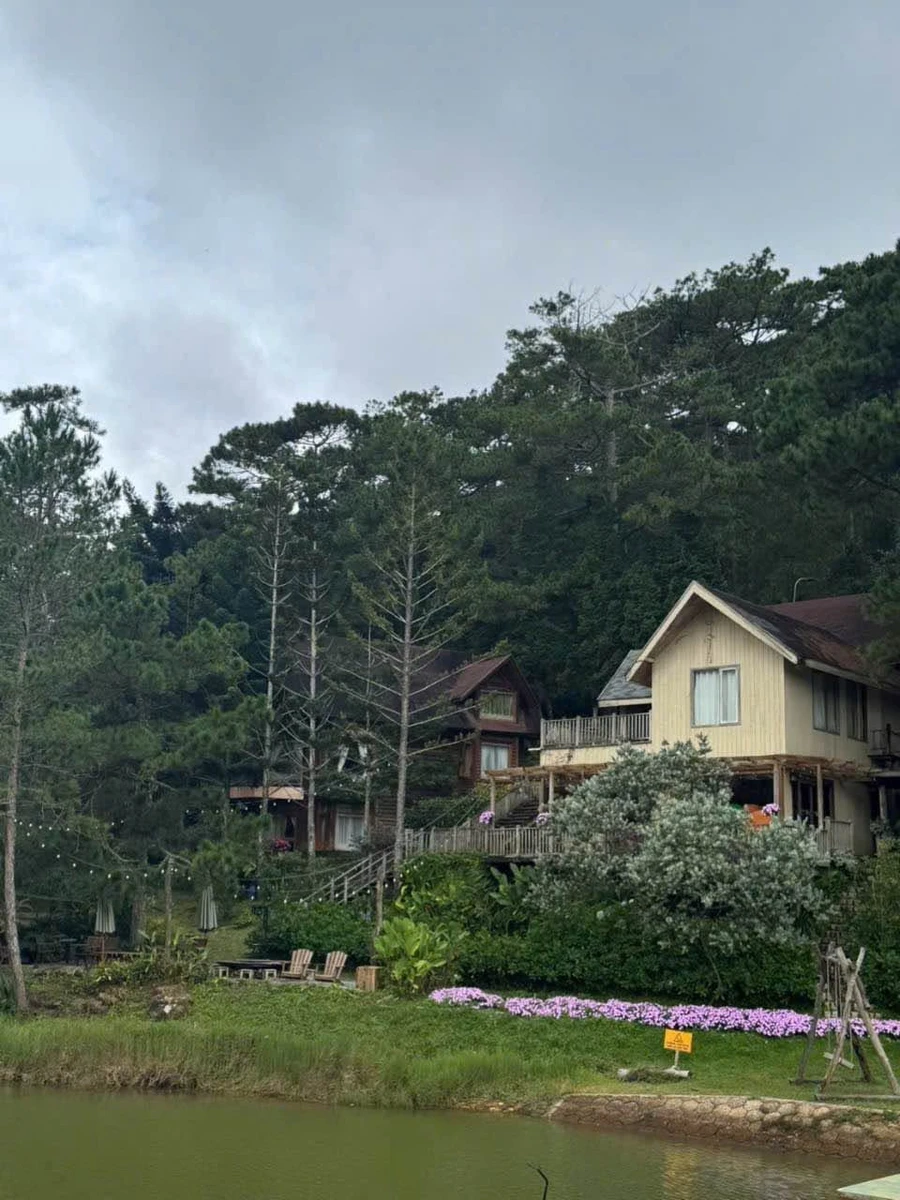 Bán resort sinh thái 3 ha Phường 5 Đà Lạt, 85 tỷ - Ảnh thu nhỏ 5
