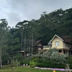Bán resort sinh thái 3 ha Phường 5 Đà Lạt, 85 tỷ - Ảnh thu nhỏ 5