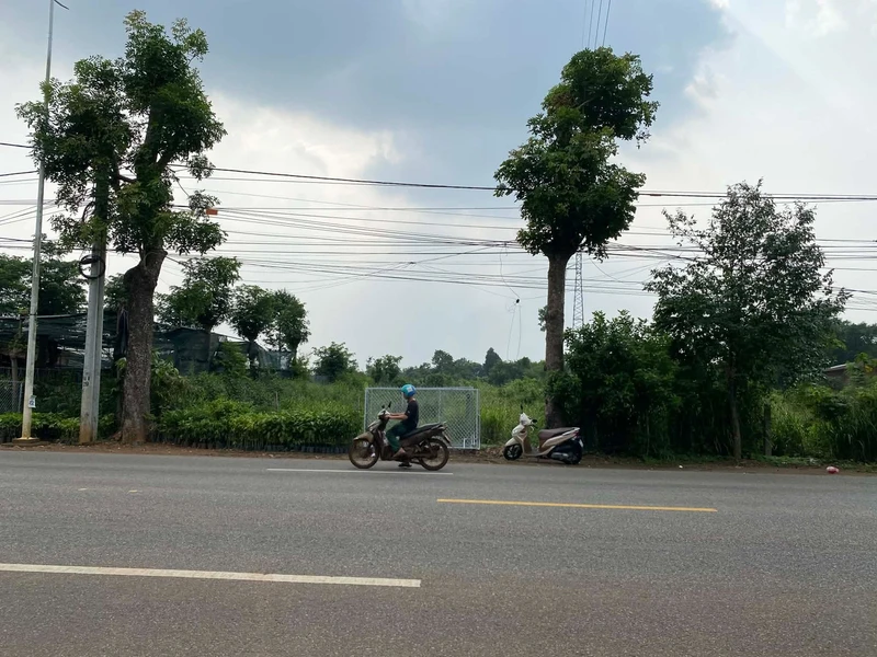 Bán đất mặt tiền 2.162m² Bàu Chinh, Châu Đức, Bà Rịa – Vũng Tàu 9,8 tỷ