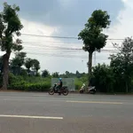 Bán đất mặt tiền 2.162m² Bàu Chinh, Châu Đức, Bà Rịa – Vũng Tàu 9,8 tỷ - Ảnh thu nhỏ 1