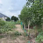 Bán lô đất cây lâu năm 224m2 tại phường Phong Điền, Huế, giá 39 triệu - Ảnh thu nhỏ 3