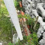 Bán đất mặt tiền 168m² Đường 74 Định Hoà Bình Dương - Ảnh thu nhỏ 3