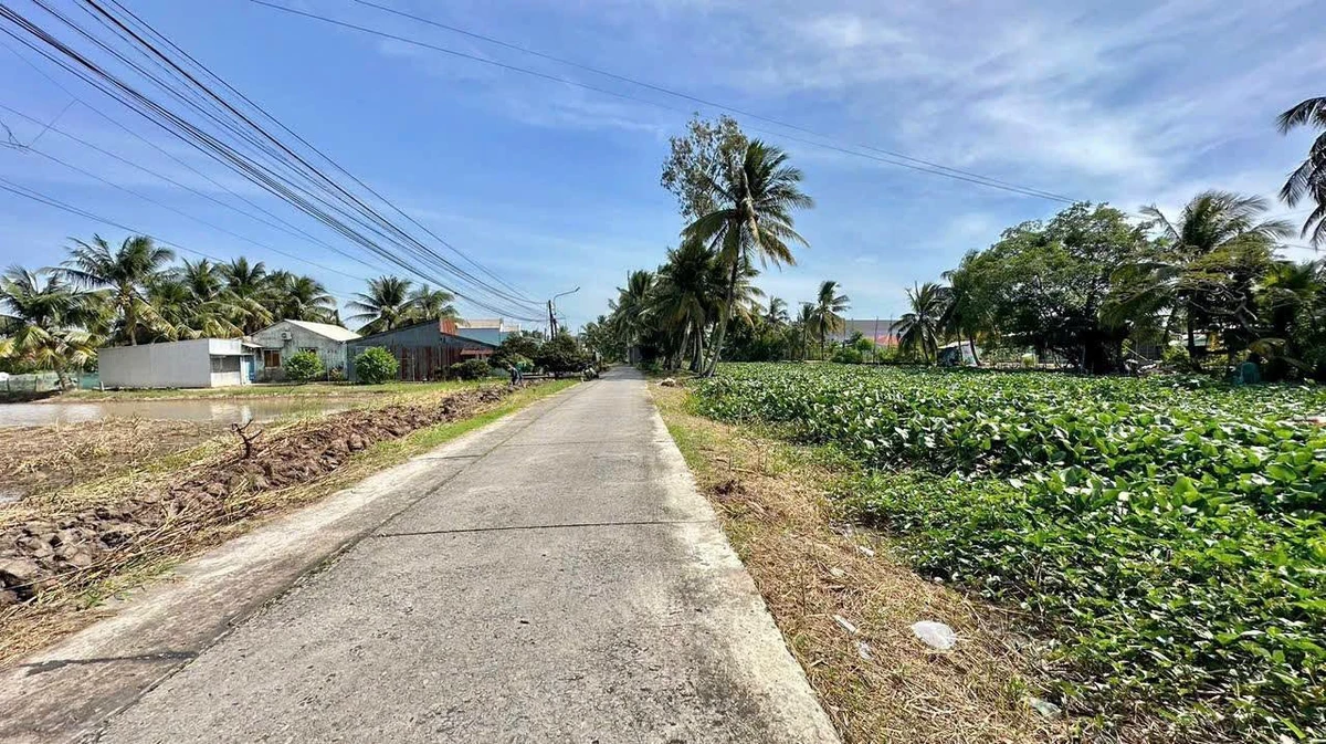 Bán đất mặt tiền Lộ Cù Là 1,6 tỷ, 1.455 m² - Ảnh thu nhỏ 4