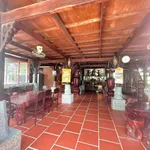 Bán khu nhà vườn 5.150m² có nhà gỗ cổ, ao cá tại An Điền, Bến Cát, Bình Dương - Ảnh thu nhỏ 1