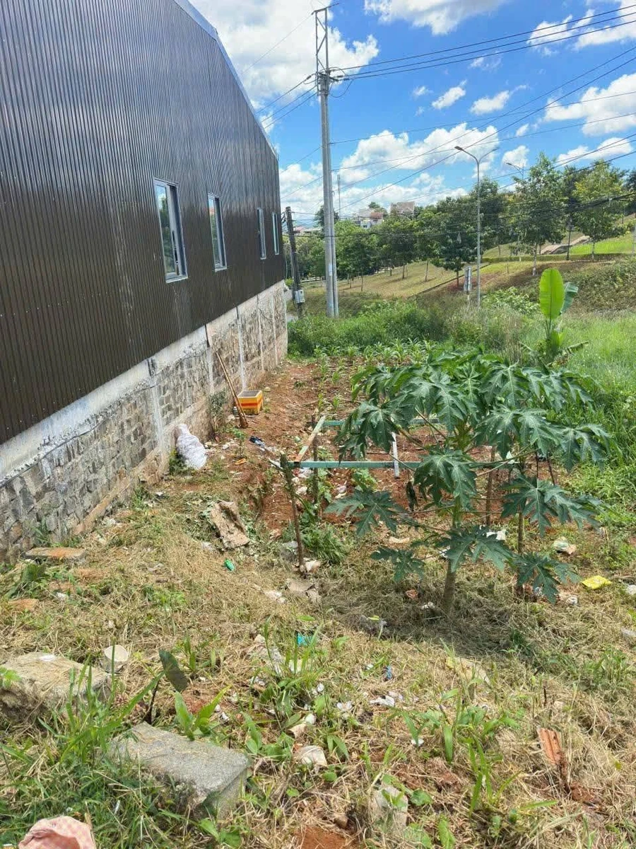 Bán đất 50m² Tổ 5 Nghĩa Phú Nhà Bè, giá 1 tỷ 200 triệu - Ảnh thu nhỏ 3