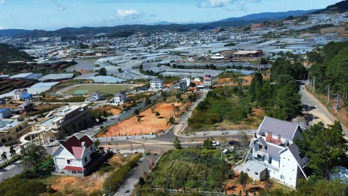 Bán lô đất riêng tư 100m2 Langbiang Đà Lạt, 2 tỷ 2 - Ảnh thu nhỏ 4