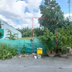 Bán nền KDC Thiên Lộc Cái Răng 100m² sổ hồng 2.2 tỷ - Ảnh thu nhỏ 1