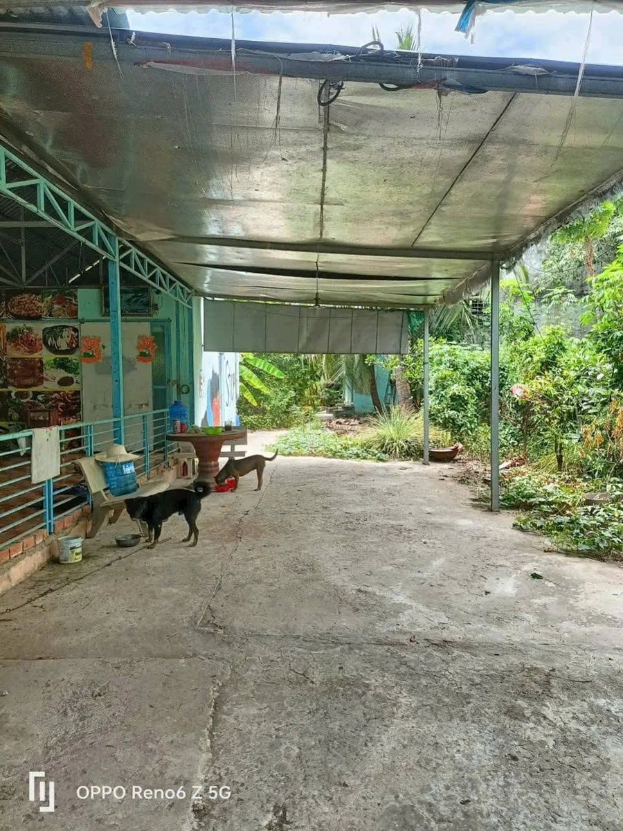 Bán đất 813.9m² khu công nghiệp Giao Long, Vĩnh Long 1.5 tỷ - Ảnh thu nhỏ 2