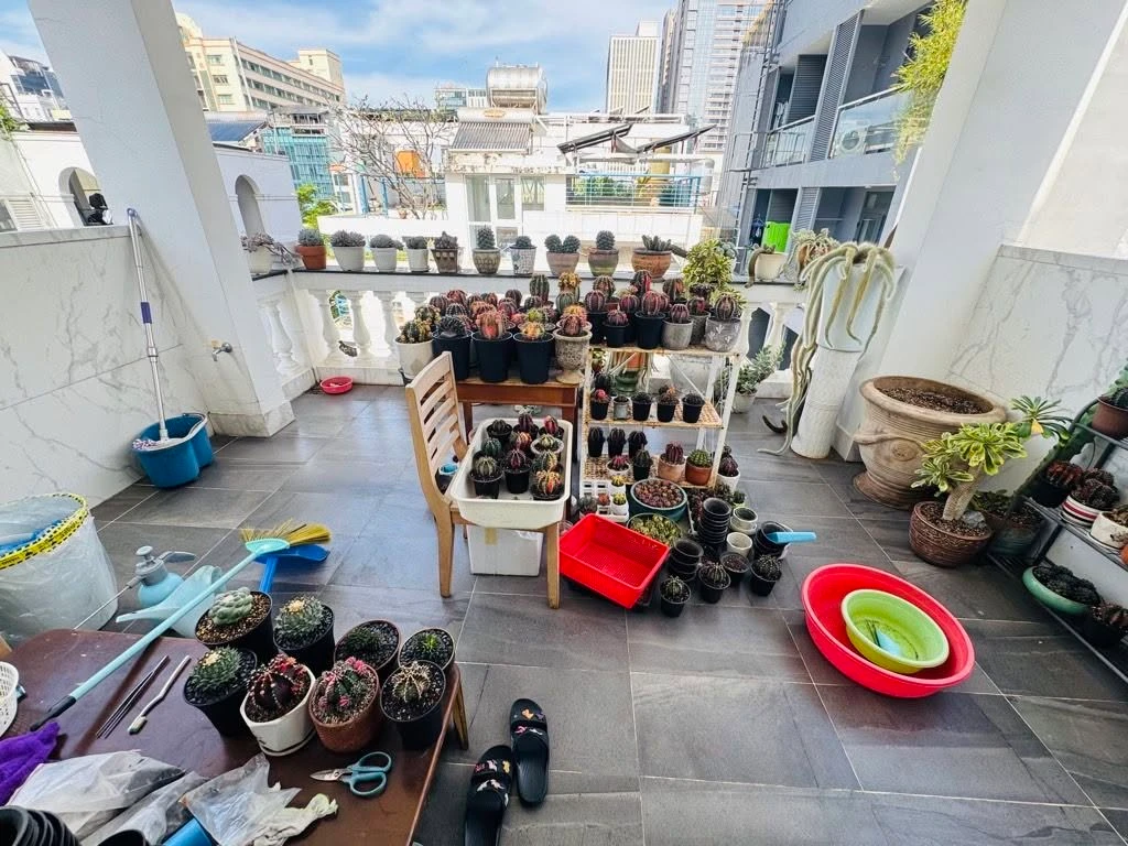 Bán nhà 7 phòng 50m² Quận 1 hơn 15 tỷ - Ảnh thu nhỏ 3