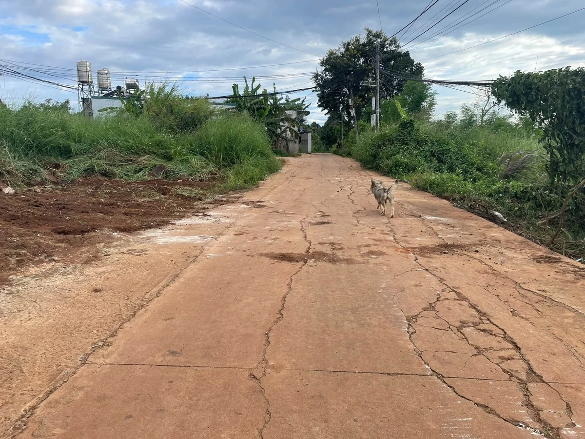 Bán lô đất 105m² tại hẻm 10/3, giá 2,25 tỷ - Ảnh thu nhỏ 3