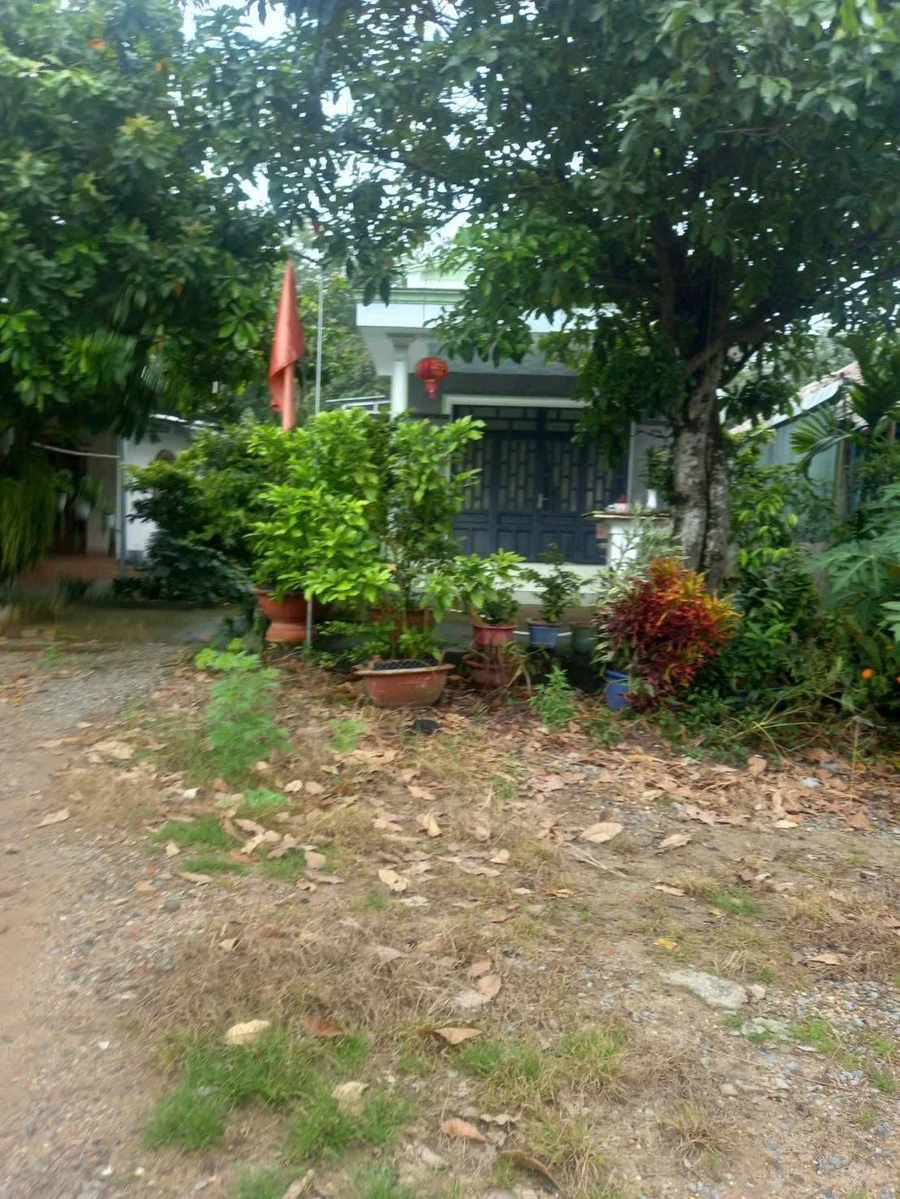 Bán đất Phường Long Nguyên mặt tiền 315 m² giá 2 tỷ - Ảnh thu nhỏ 2