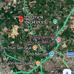 Bán đất Long Nguyên 11.000m2, mặt tiền 29m, 6 tỷ - Ảnh thu nhỏ 3