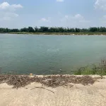 Bán đất view sông Nam Sông Vệ, xã Đức Thắng, 123m2 giá 4.6 triệu/m2 - Ảnh thu nhỏ 12