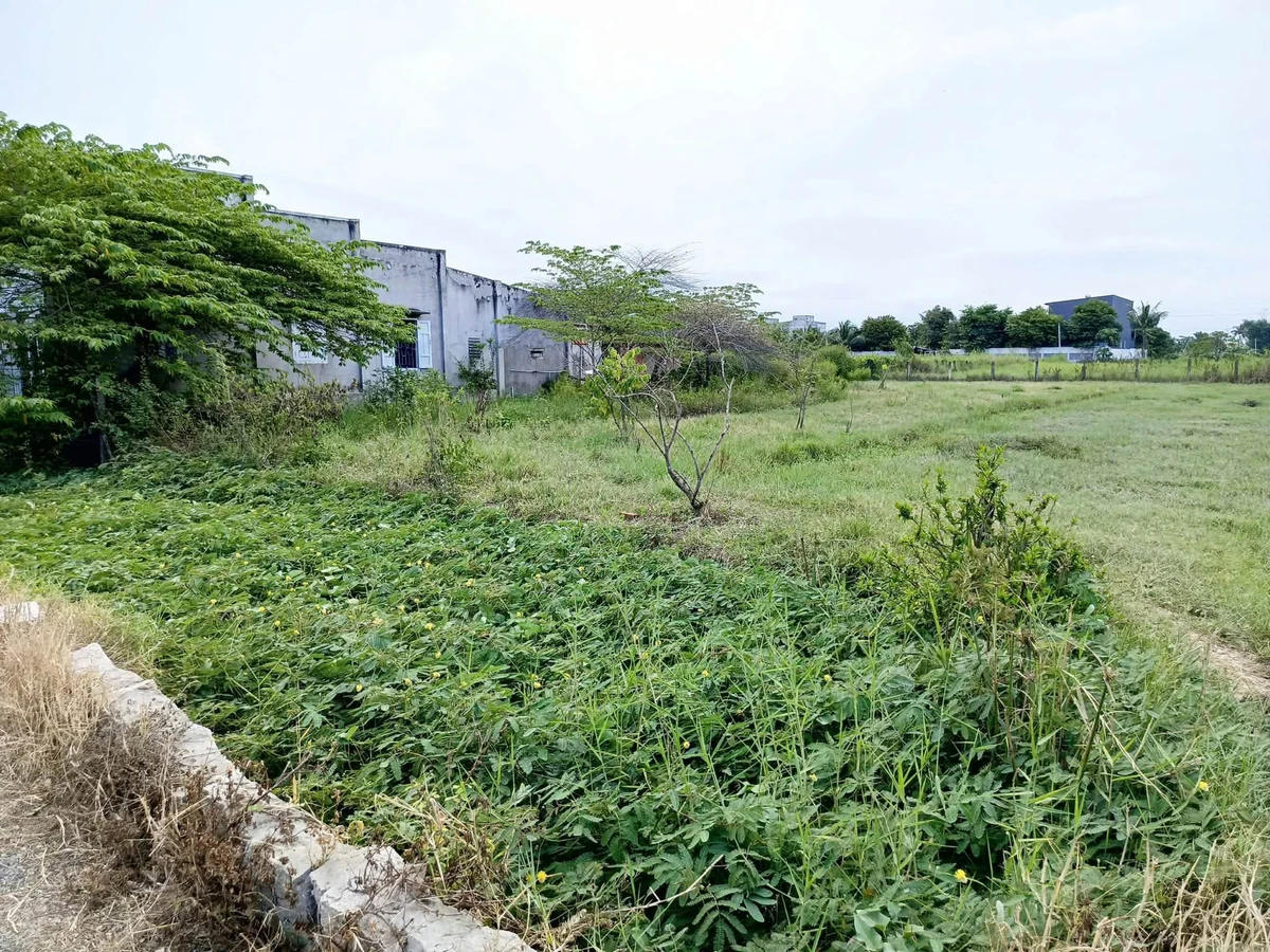 Bán lô đất quy hoạch thổ cư 1786m² với nhà cấp 4 Hàm Mỹ - Ảnh thu nhỏ 3