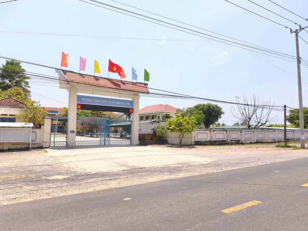 Bán đất mặt tiền Tỉnh Lộ 8 Diên Lâm 306m2 Nhà Bè - Ảnh thu nhỏ 4