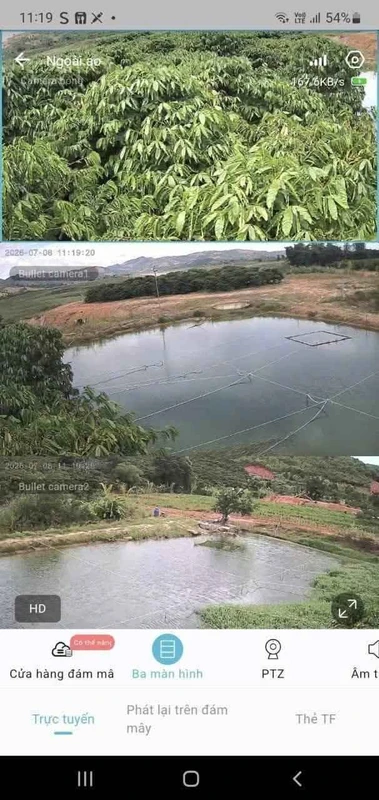 Bán 2ha đất nông nghiệp Krông Nô, Đắk Lắk, view hồ, 6 tỷ 5