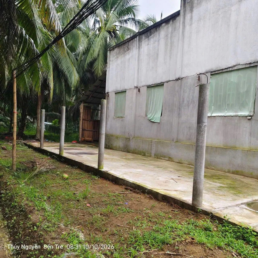 Bán nhà 867m² gần chợ Cẩm Sơn 1 tỷ 490 triệu - Ảnh thu nhỏ 4