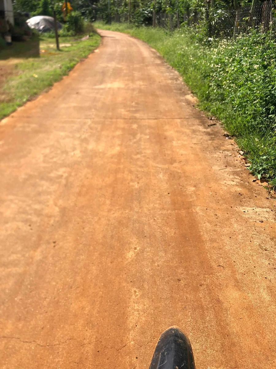 Bán đất trồng cà phê 1,2ha tại Bình Dương, giá 2,6 tỷ/ha - Ảnh 1