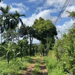 Bán đất 5000m² Trần Quý Cáp view hồ EaTam 7 tỷ 5 - Ảnh thu nhỏ 1