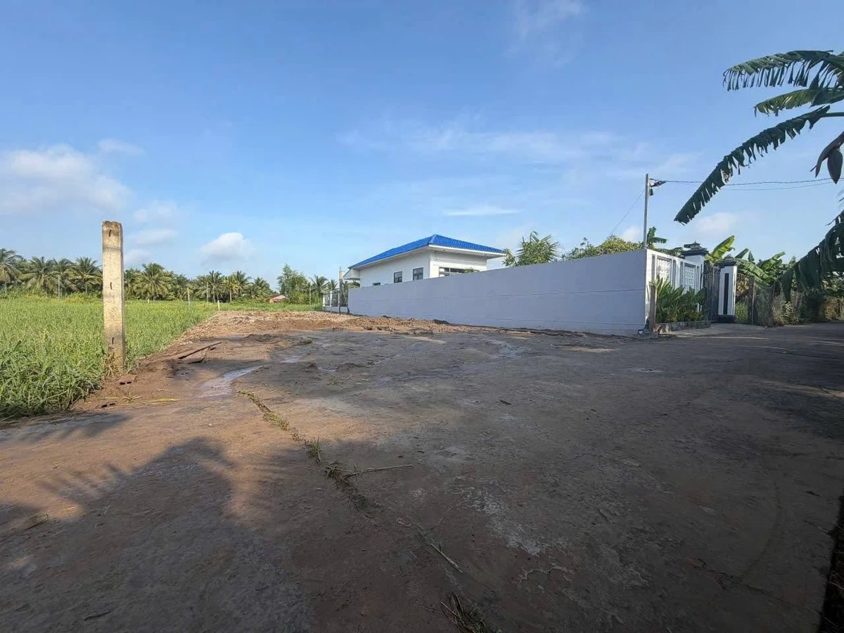 Bán đất mặt tiền hẻm Lộ Triền Đồng 350m2 - Ảnh thu nhỏ 2