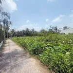 Bán nền đất Bình Phú Bến Tre 200m² 1 tỷ 390 triệu - Ảnh thu nhỏ 4