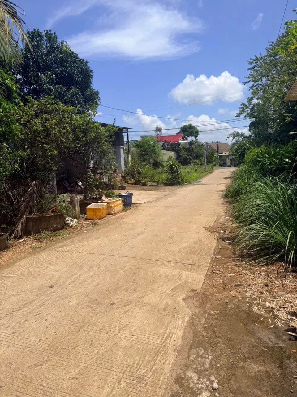 Bán đất 200m² ngang 10m xây nhà vườn Quận 12 - 1 tỷ 350 - Ảnh 1