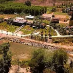 Bán farm 14.500m² Khánh Hòa giá 12 tỷ đã hạ - Ảnh thu nhỏ 4