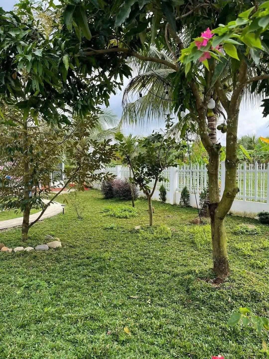Bán 1.457m² đất vườn nghỉ dưỡng có nhà vườn, hồ cá tại Bàu Hàm 2, Thống Nhất, Đồng Nai - Ảnh thu nhỏ 2