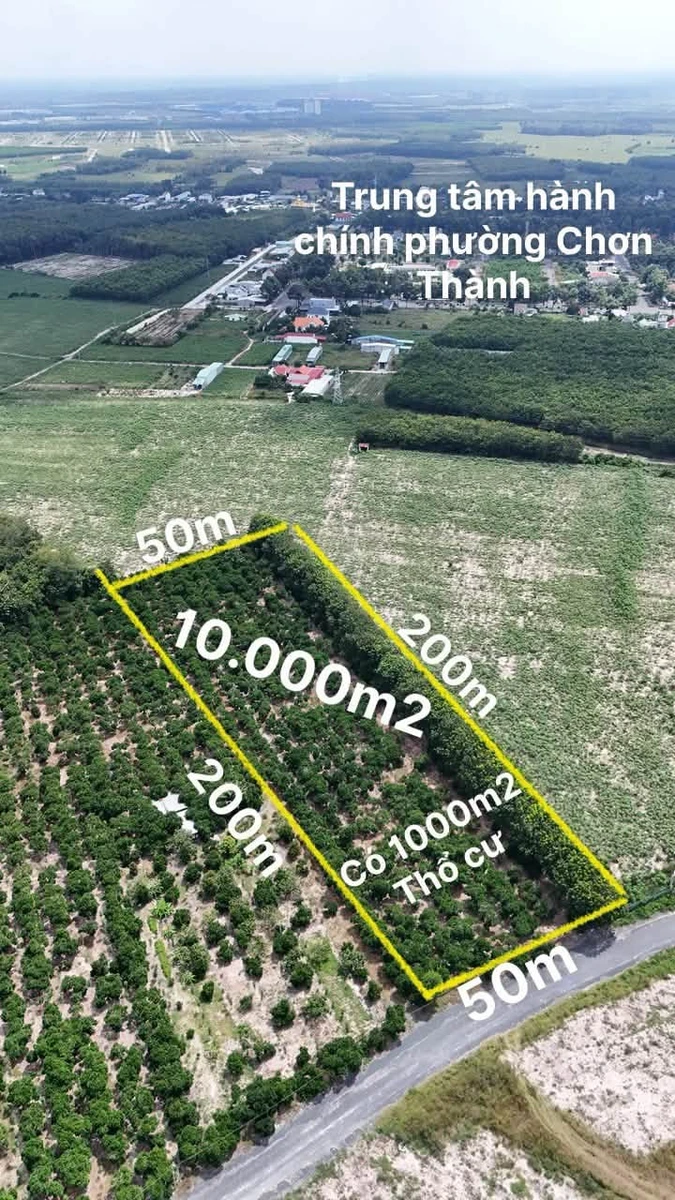 Bán đất 1 hectare mặt tiền Nguyễn Văn Linh, Chơn Thành, Bình Dương - Ảnh 1