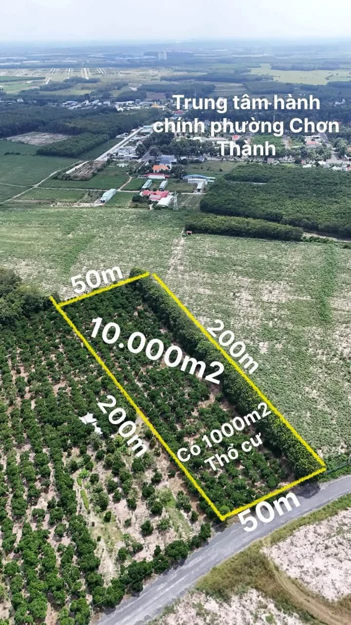 Bán đất 1 hectare mặt tiền Nguyễn Văn Linh, Chơn Thành, Bình Dương - Ảnh 1
